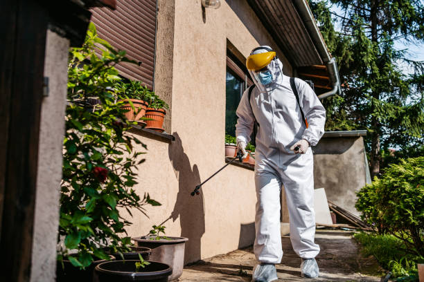 Best Termite Control Services  in Antwerp, OH