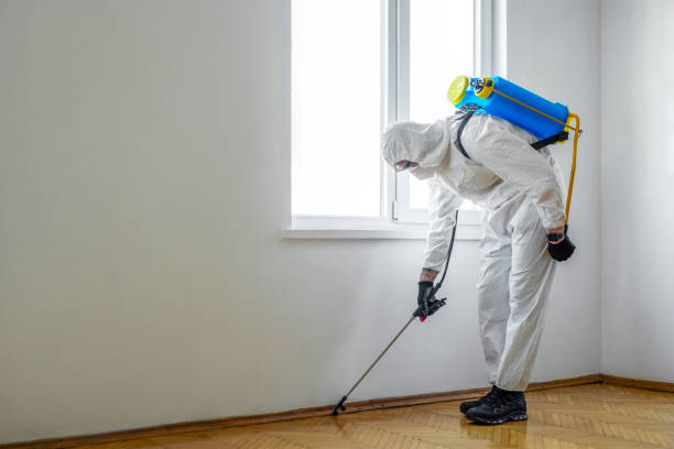 Antwerp, OH Pest Control Company