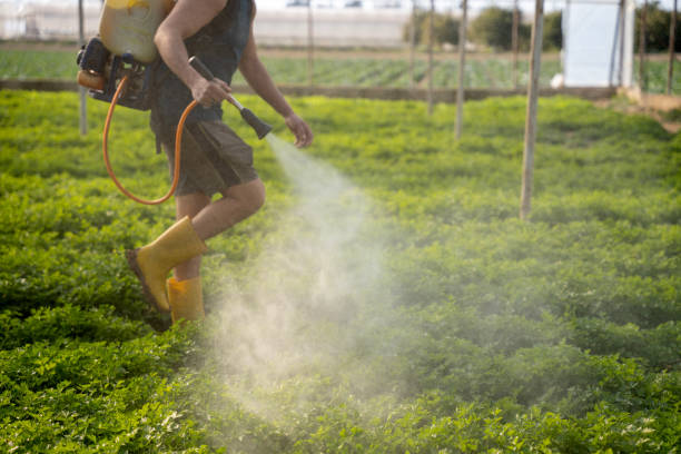 Best Best Pest Control Companies  in Antwerp, OH