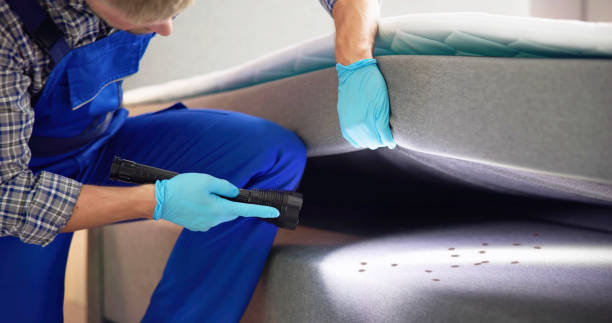 Best Bed Bug Extermination  in Antwerp, OH