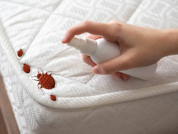 Best Best Pest Control Companies  in Antwerp, OH