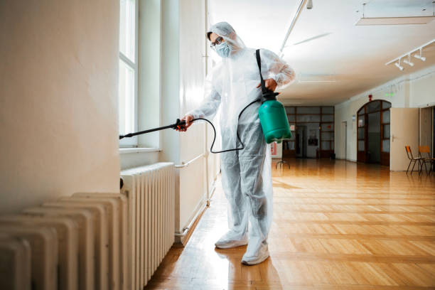 Best Pest Inspection Near Me  in Antwerp, OH