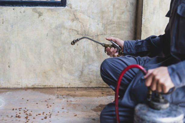 Best Mosquito Control Services  in Antwerp, OH