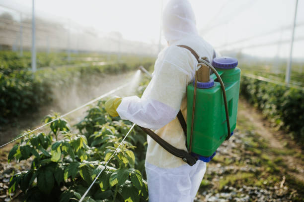 Best Pest Prevention Services  in Antwerp, OH